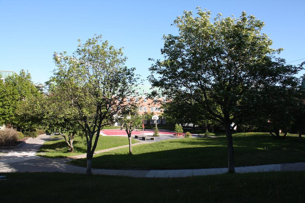 Memorial University St. John's Εξωτερικό φωτογραφία